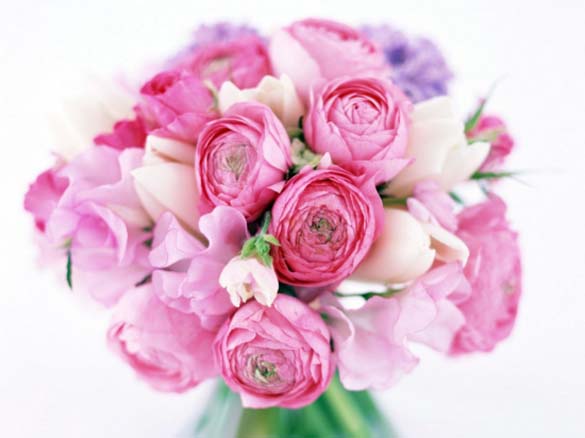 http://ilike.mk/wp-content/uploads/images/2011/02/colorful-flowers-06.jpg