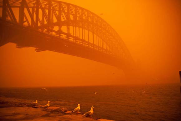 Сиднеј во време на песочна бура
