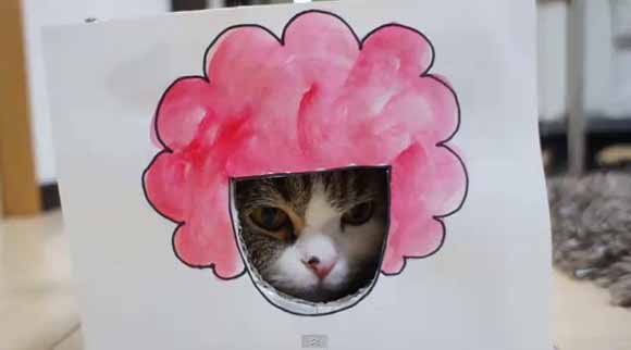 Мачето Мару и бесните фризури