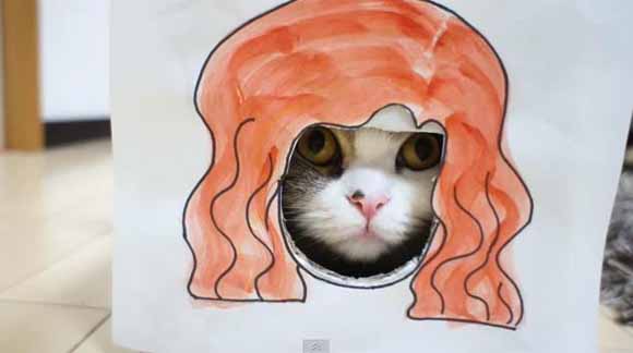 Мачето Мару и бесните фризури