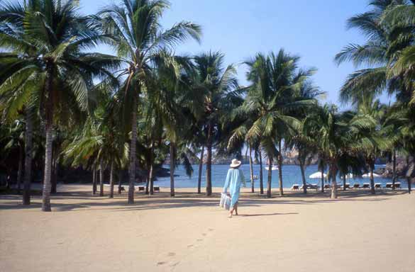 луксузен мексикански рај