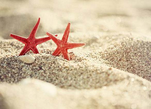 Подгответе се за малку забава под сонцето