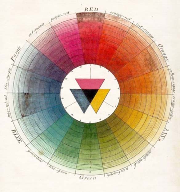 Дали ги гледаме сите бои?