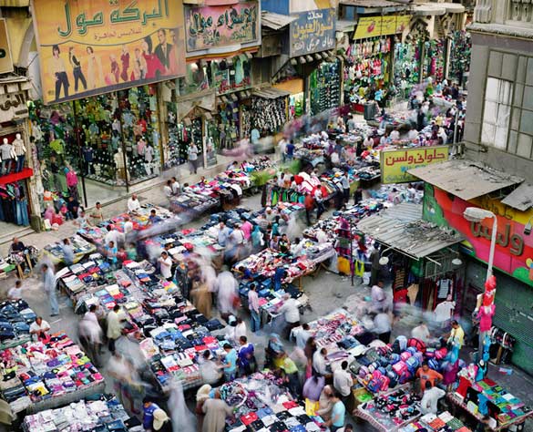 Заробени моменти од урбаните џунгли