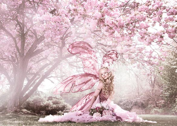 Мистичниот свет на Виона Иелегемс