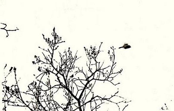 Деновите кои не се тоа