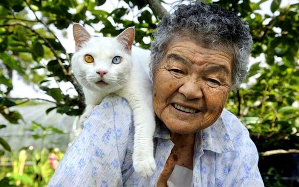 Мисао и Фукумару