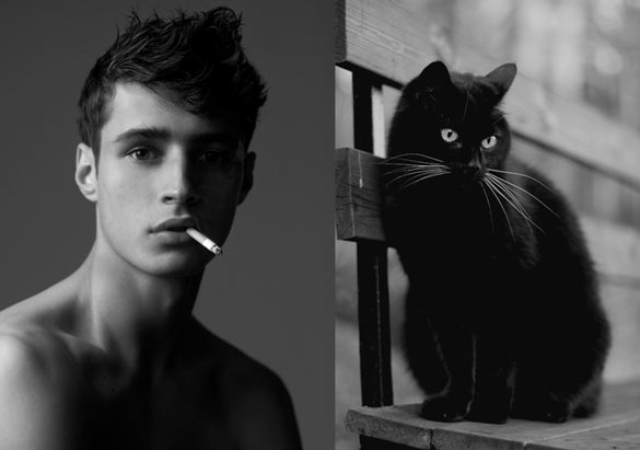 Секси момци и слатки мачиња