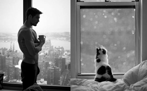 Секси момци и слатки мачиња