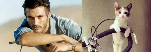 Секси момци и слатки мачиња