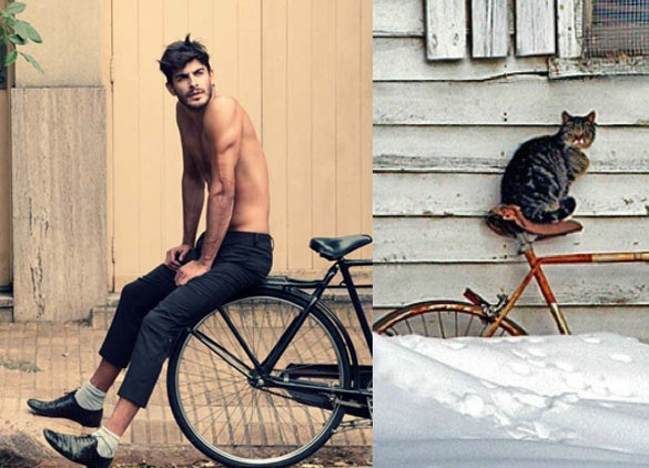 Секси момци и слатки мачиња