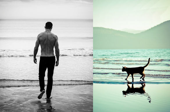 Секси момци и слатки мачиња