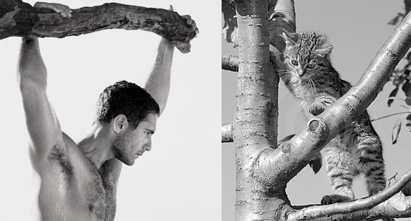 Секси момци и слатки мачиња