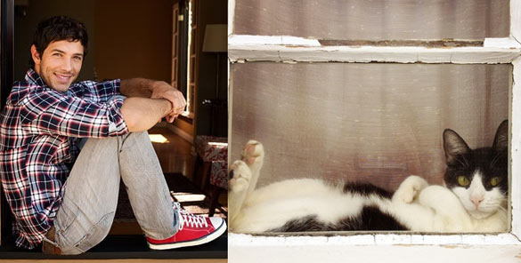 Секси момци и слатки мачиња