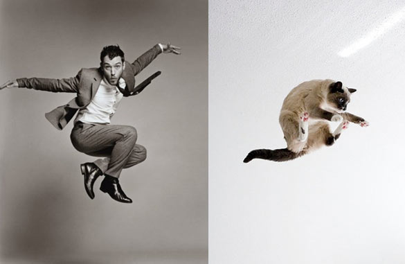 Секси момци и слатки мачиња