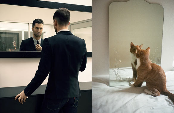 Секси момци и слатки мачиња