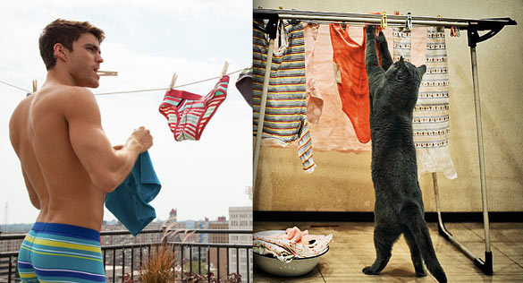 Секси момци и слатки мачиња