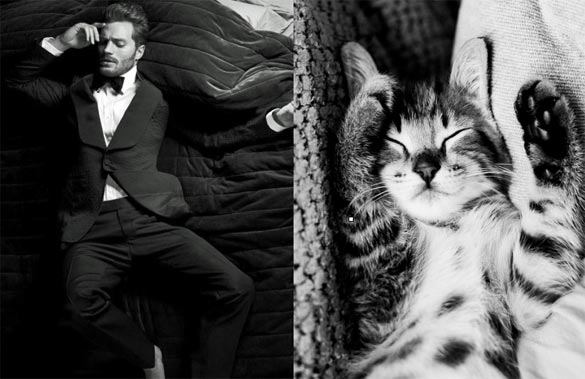 Секси момци и слатки мачиња