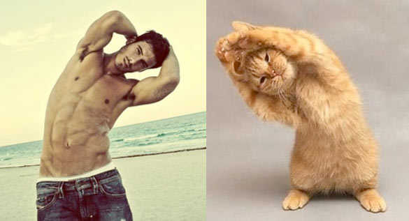 Секси момци и слатки мачиња