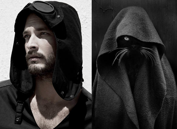 Секси момци и слатки мачиња