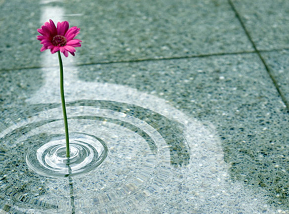 Транспарентна лебдечка вазна