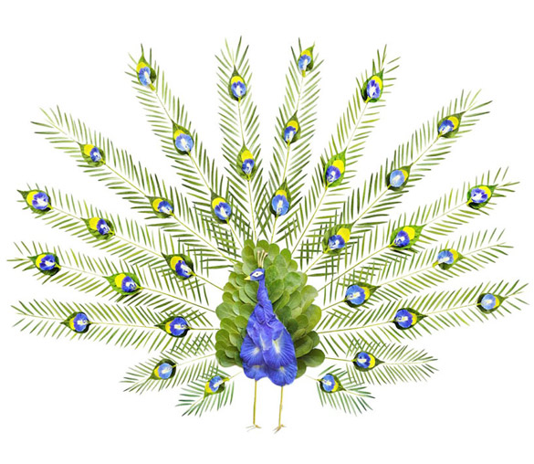 Егзотични птици направени од цветови