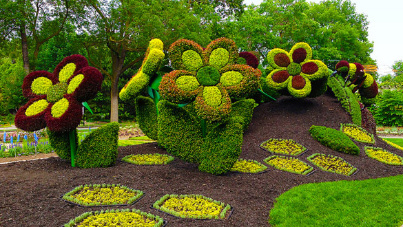 Импозантни скулптури од растенија во Монтреал