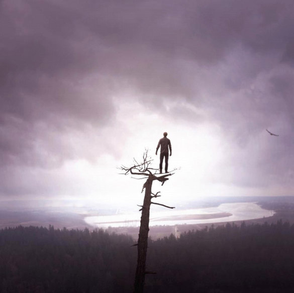 Цел сон во една фотографија