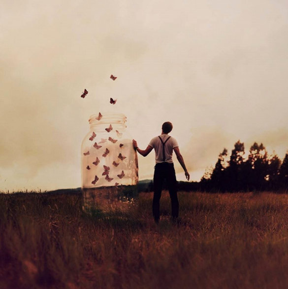 Цел сон во една фотографија