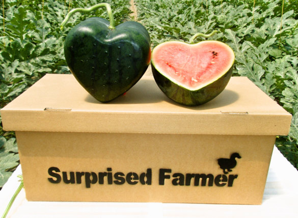 Лубеница со форма на срце