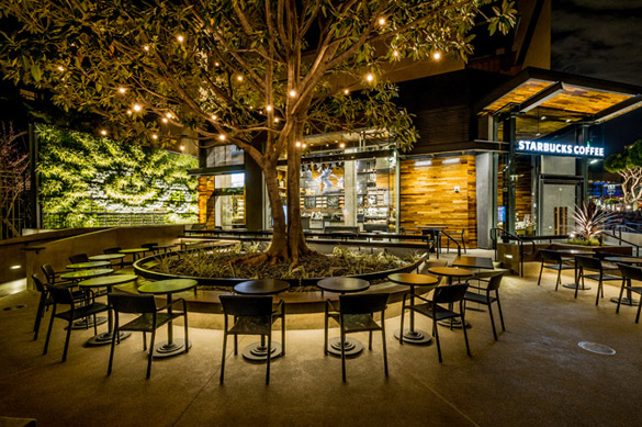 starbucks-disneyland-iLike-mk-003