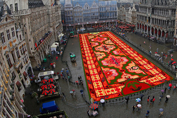 Brussels-Flower-Carpet-iLike-mk-004